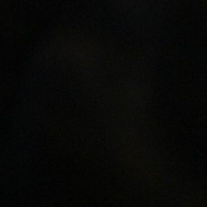 Meet your Posher, Ronnie